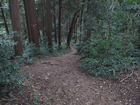 20161007hike (161)